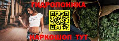 крисы Волжск