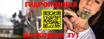 шишки Волжский
