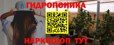 шишки Волжский